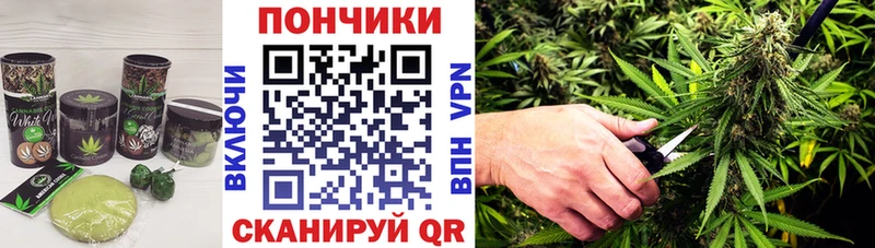 наркошоп  Пучеж  дарк нет наркотические препараты  Cannafood марихуана 