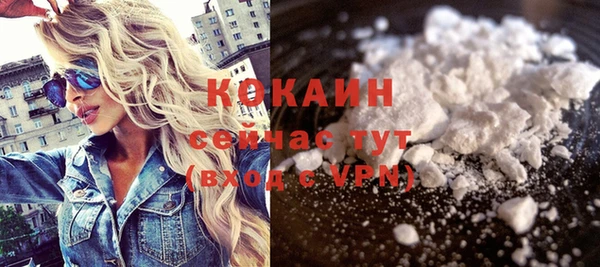 стаф Аркадак