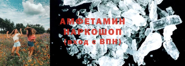 стаф Аркадак