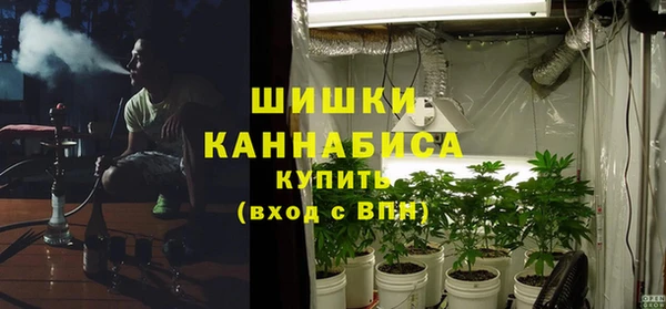 стаф Аркадак