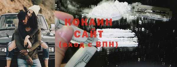 стаф Аркадак