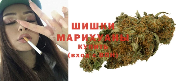 стаф Аркадак
