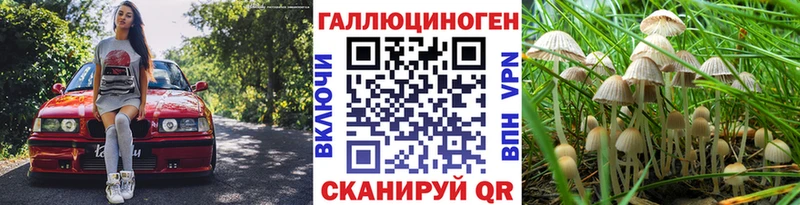 Псилоцибиновые грибы Psilocybe  маркетплейс состав  Пучеж 